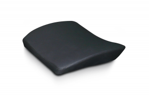 Power Plate pillow